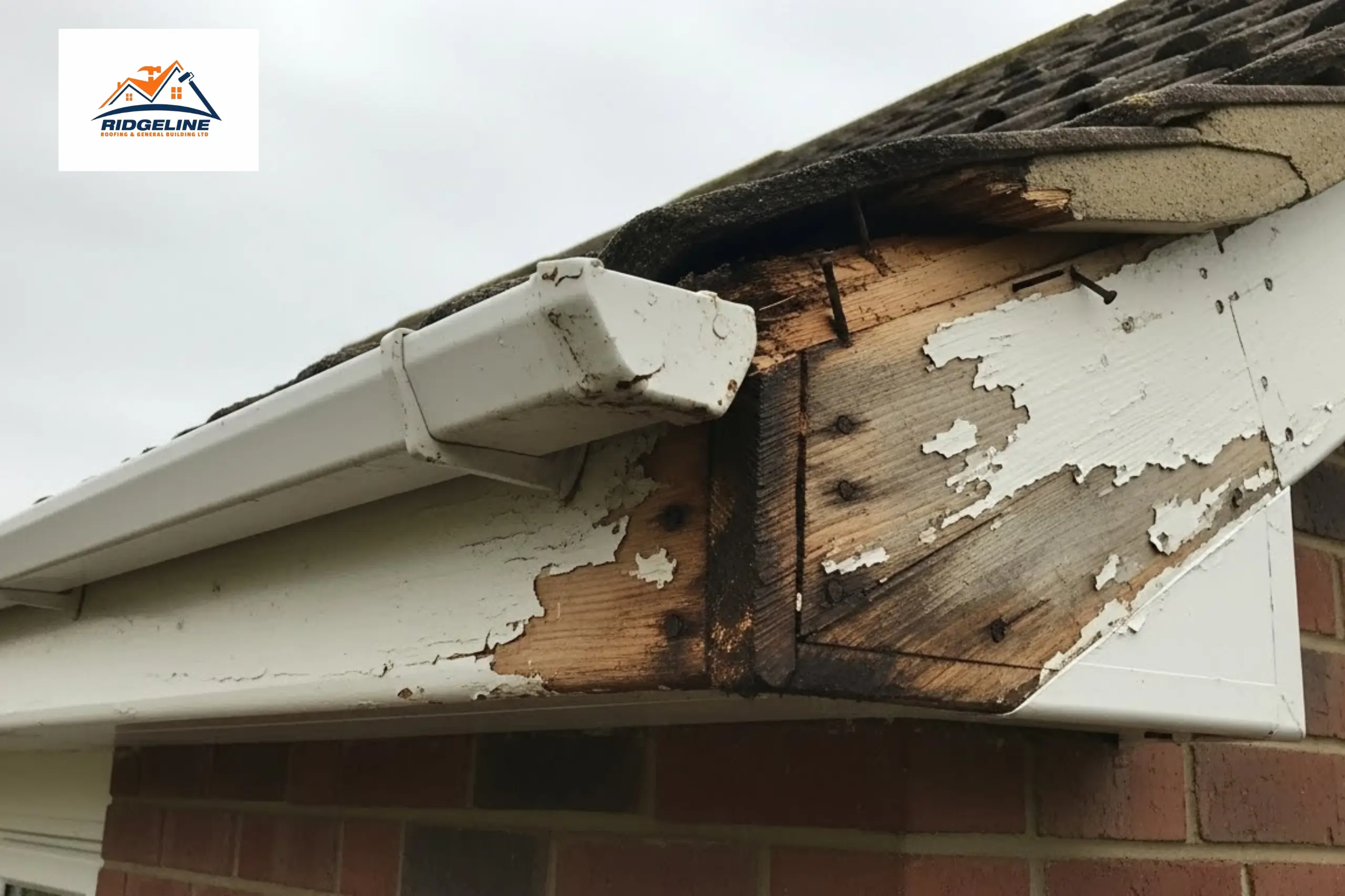 Completed fascia and soffit installation on roofline