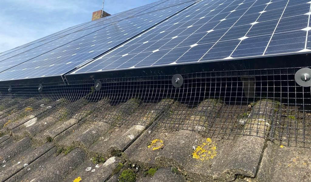 Completed bird mesh guard fitted around solar panels