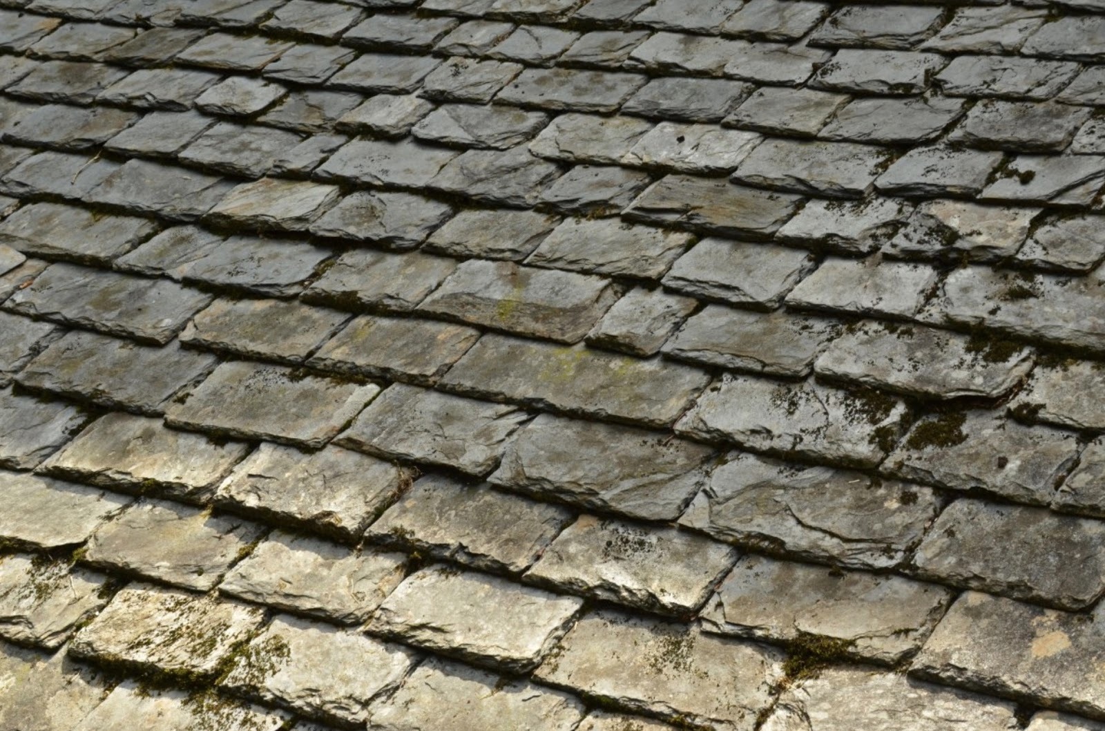 Slating service by Multi-Purpose Home Improvements