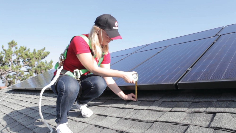 Solar Panel Bird Proofing