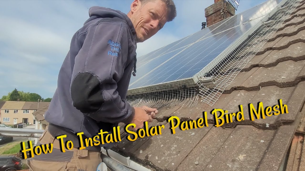 Solar Panel Bird Proofing – Multi-Purpose Home Improvements